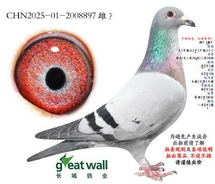 10.������Ѫϵ.2008897