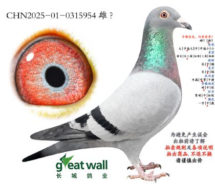 9.����Ѫϵ.0315954