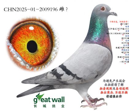 12.������ƽ��.2009196