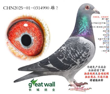 11.���ǲ���Ѫϵ.0314990