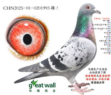 13.���޿���888���.0201993