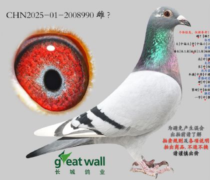 14.��ͷ�������Ӵ�.2008990