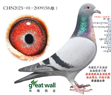 15.����������xͼ��˹.2009158