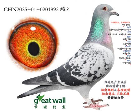 1.���ºż�Ī��˹���.0201992