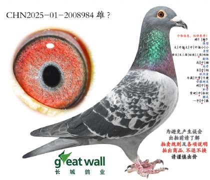 2.����x��ʱ��.2008984