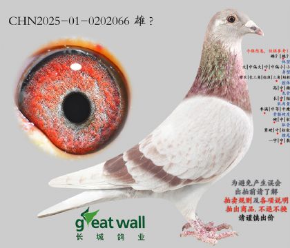 3.��ʱ��x����ŵ����.0202066