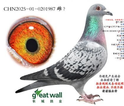 7.��ȱ��x��ʱ��.0201987