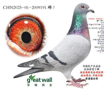 5.��ʱ�ݸ������.2009191