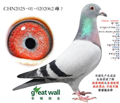 6.ղ��˹x�Ҿ���x��ʱ��.0202062