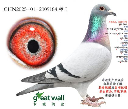 11.�¿��������.2009184