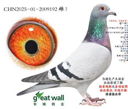 18.�¿��������.2009192