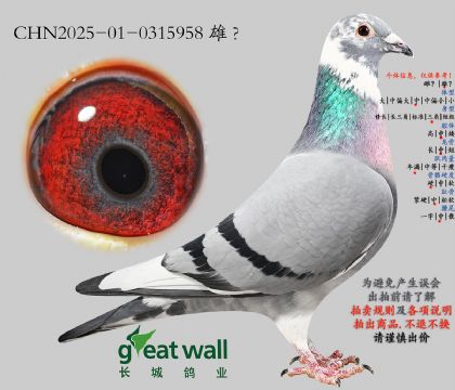 16.���ǲ���Ѫϵ.0315958