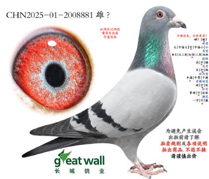 17.��ȱ�ݽ�Ѫ���.2008881