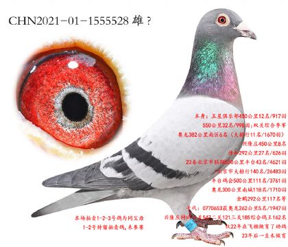 3.³��˫�ؼ���.1555528