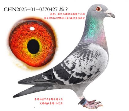 7.³��Ѫϵ����185��.0370427