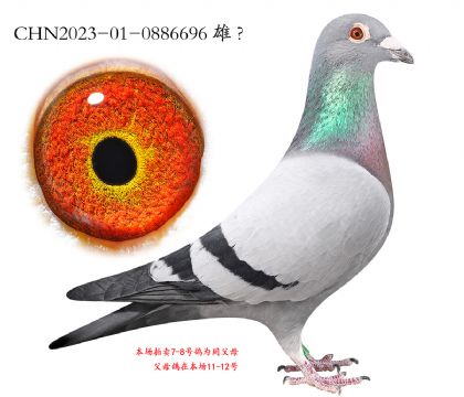 8.³���ƽ���Ӵ�.0886696