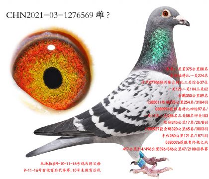 9.³��Ѫϵ�ִ�.1276569