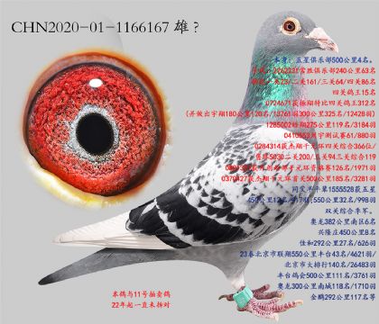 12.�������۱���4��.1166167