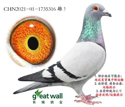 13.��¡�����.1735316