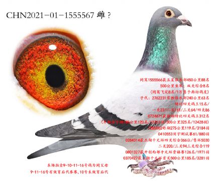 11.³��4�����ĸ.1555567