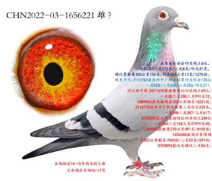 15.Э���Ĺظ���6λ.1656221