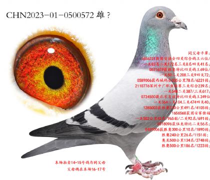 14.³��Ѫϵ.0500572