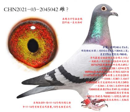 16.³��˫6��.2045042