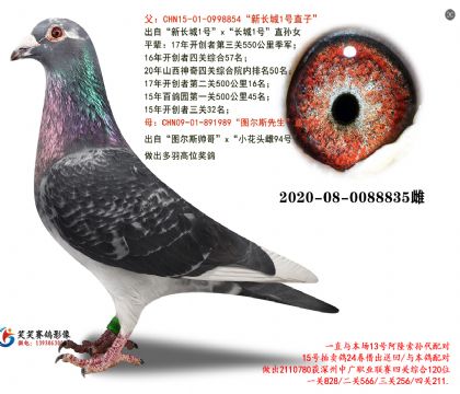 18.�³���һ��xͼ��˹.0088835