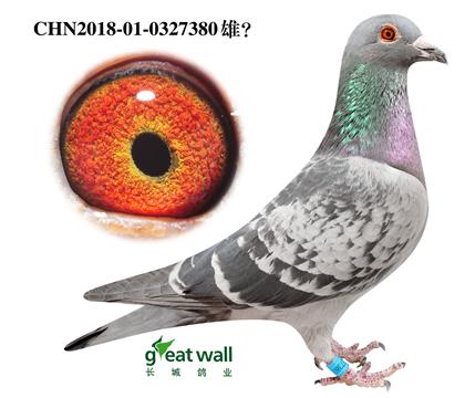 ԭ������ͼ