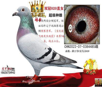 �Ƹ�ĸ��һ�������������