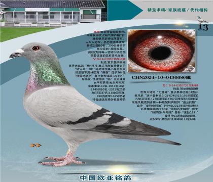 ����ԭ����838X�Ͽ���˹��739��ĸ