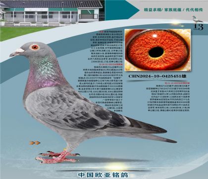 ղɭ251ֱ��326Xղɭ766ֱŮ840