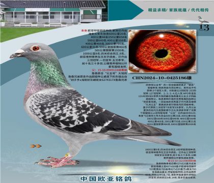 ղɭ�������Ĺڸ�������124X919ֱŮ080