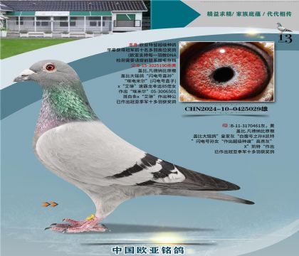 �Ǳ�ԭ�������ֱ��190X�ʼһ�ֱŮ461