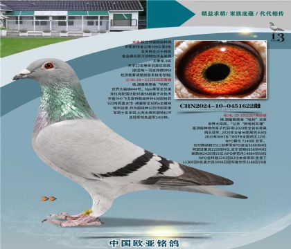 ��.����˹ԭ�ᡰ������638X��������367