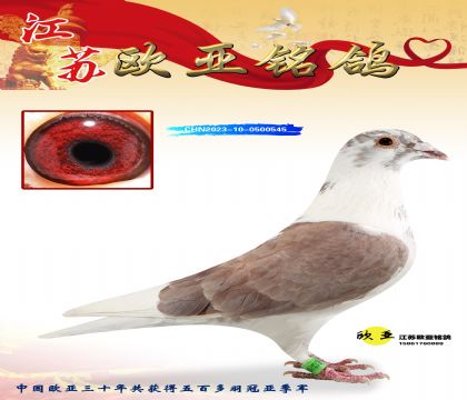 �������Ĺظ���ʮ��293X̩ɽ988