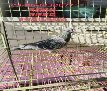 ����������2��ɼ���ĸ��