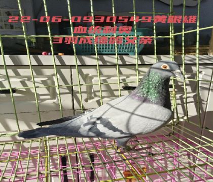 ����003��3��ɼ��븸��