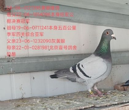 ���깫������ھ������䱱��Ҽ������