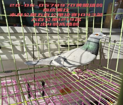 �������ٹ����ǿ��1219��