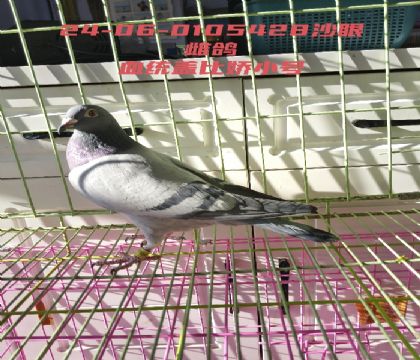 �ǱȽ�С�Ż�Ѫ