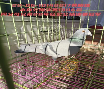 22�����깫������ھ��׵ܱܵ����������