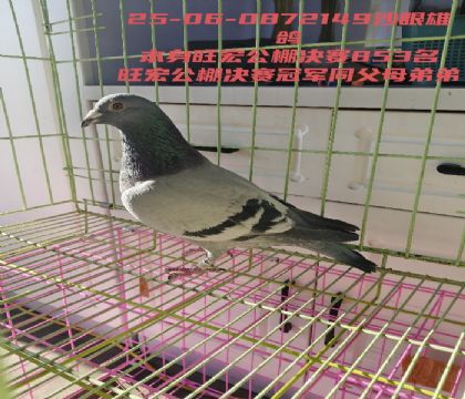 ���깫������ھ�ͬ��ĸ�ܾܵ���853��