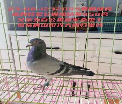 ��ٹ����Ǿ�Ů�����깫���վ��450��