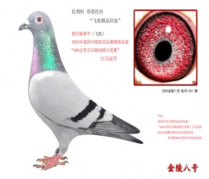 1�� ����ʱ ��˼���ڡ���ū��Ʒ��Ѫ��