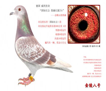 2���¹� �������桰���ʺ칫 ղɭ���731��