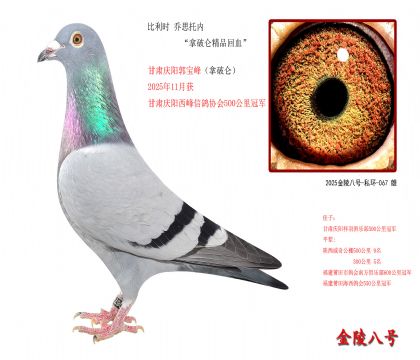 4������ʱ ��˼���ڡ������ؾ�Ʒ��Ѫ��