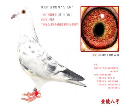 5������ʱ ��˼���ڡ��� ��ū��