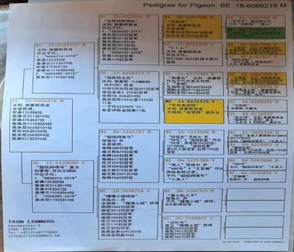 ԭʼ�����-��ʧ-ֻ�ܴ�ӡ��Ƭ���ֵ�