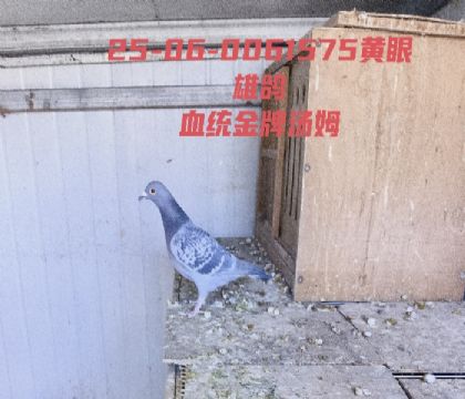 ������ķ��Ѫ����Ѫ�����ָ�һ���������